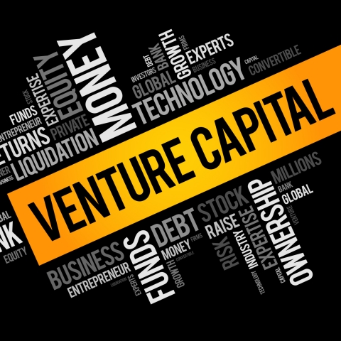 Imposanter Anstieg der Venture Capital Investitionen in der Schweiz