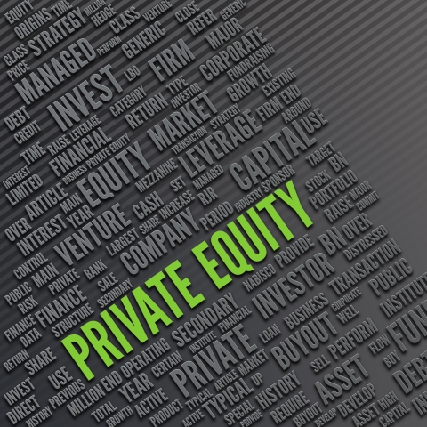 Krisenbeständigkeit und Performance von Private Equity