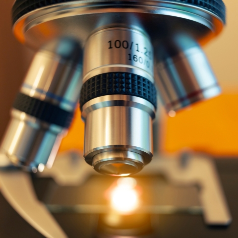 Schweizer Medtech-Branche trotzt Herausforderungen