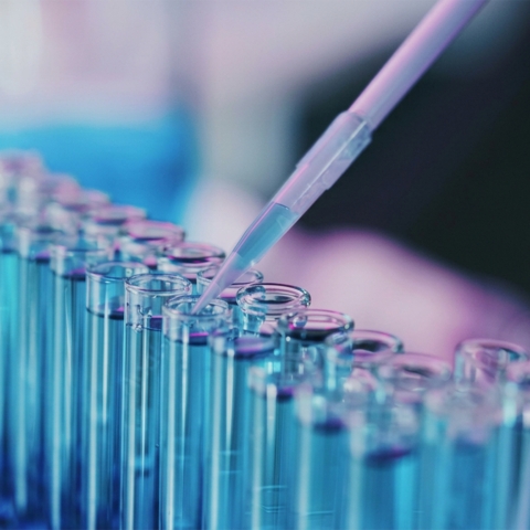 Schweizer Biotech auf Rekordkurs: Warum die Pharmaindustrie für Investoren interessant bleibt